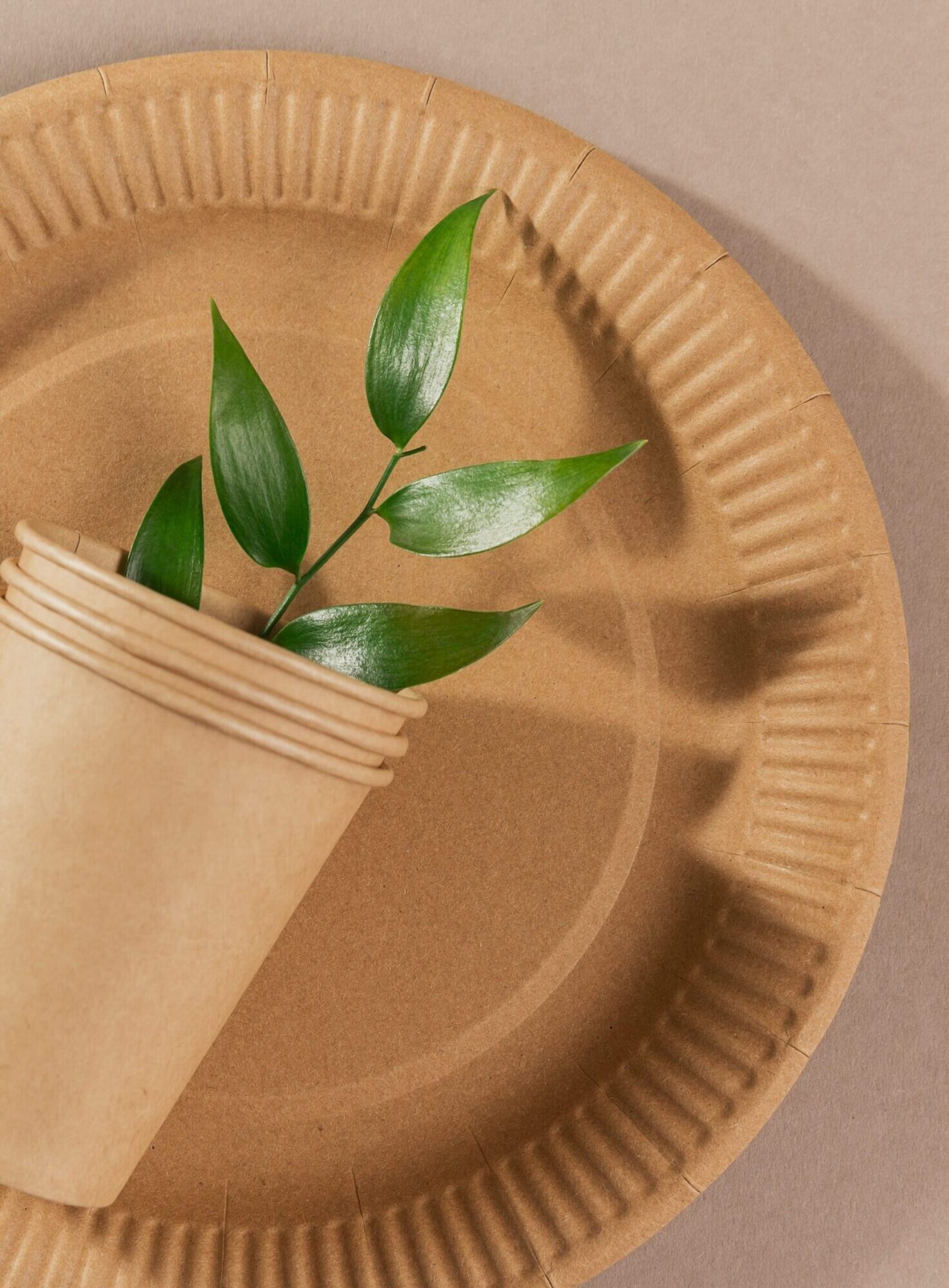 Sugarcane Plate